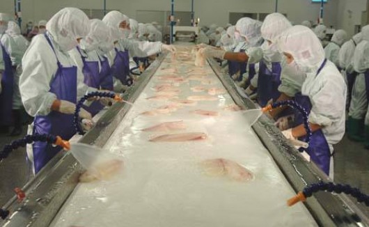 水产加工废水治理解决方案