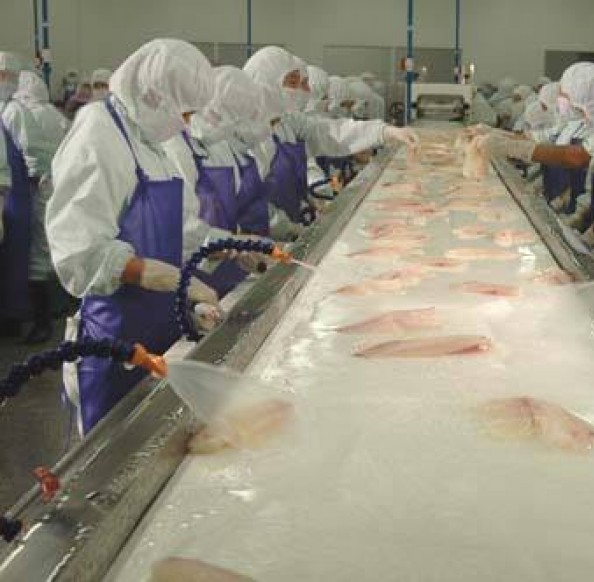 水产加工废水治理解决方案